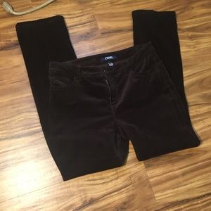 Chaps Chocolate Brown Corduroy Pants